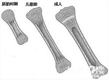 骨密度检测仪给孩子测骨龄的意义 骨密度检测仪给孩子测骨龄的意义