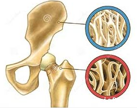 骨密度检测仪厂家谈如何看懂骨密度检查的结果