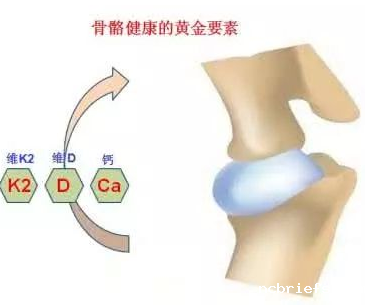 骨密度检测仪厂家提醒好习惯预防骨骼疾病 骨密度检测仪厂家提醒好习惯预防骨骼疾病