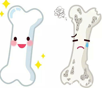 骨密度检测仪针对儿童骨密度测量全方位方案 骨密度检测仪针对儿童骨密度测量全方位方案