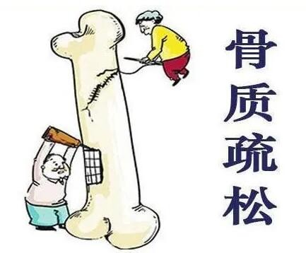 骨密度检查仪厂家建议保护骨骼健康,远离骨质疏松症 骨密度检查仪厂家建议保护骨骼健康,远离骨质疏松症