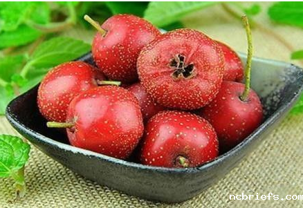 山楂好物！超声骨密度检测仪品牌了解它能预防骨质疏松！